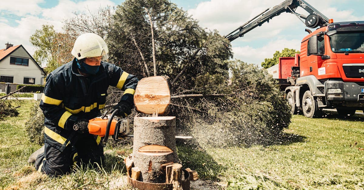 Tree Service business automation
